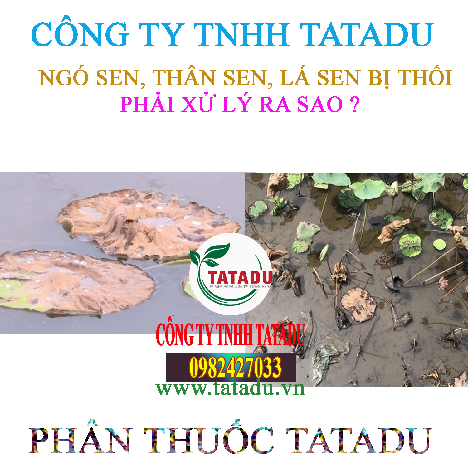 THOI SEN