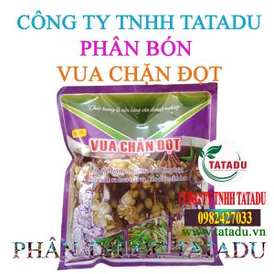 VUA CHAN DOT