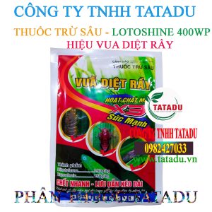 VUA DIET RAY
