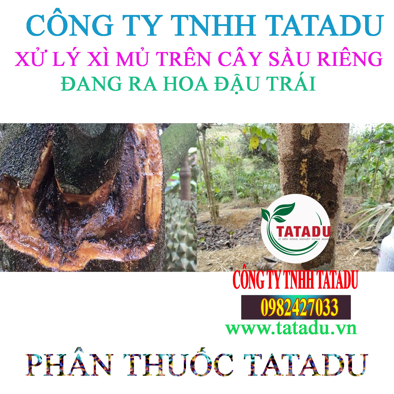 XI MU SAU RIENG