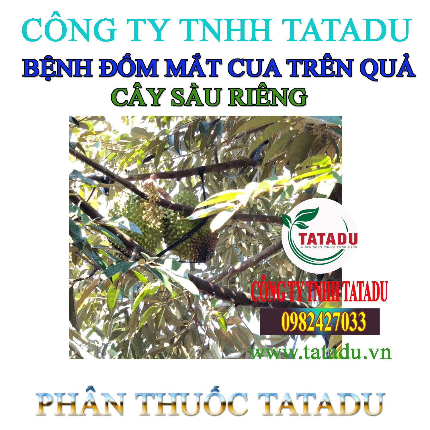 BENH DOM MAT CUA TREN QUA SR