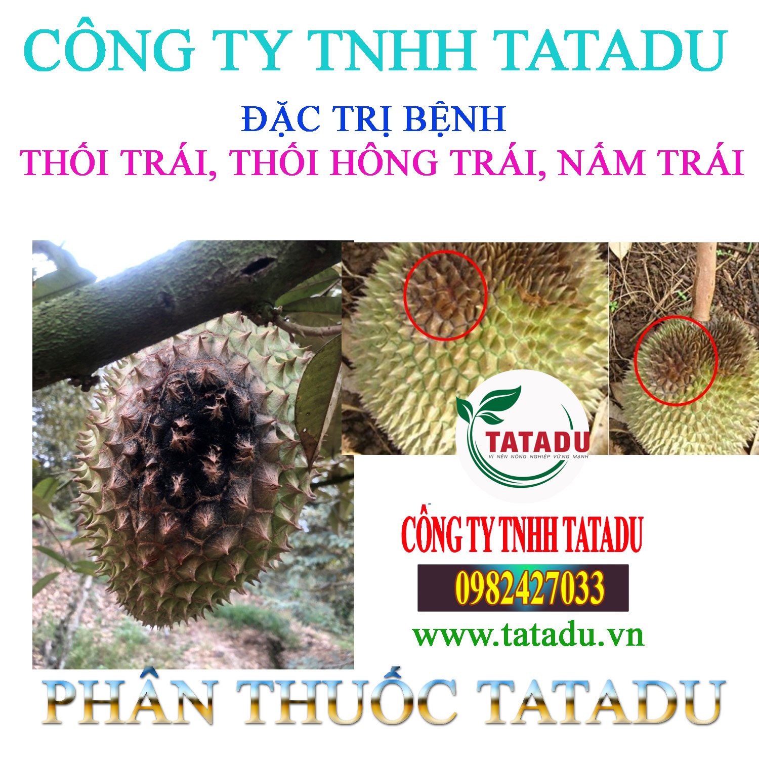 BENH THOI TRAI TREN CAY SAU RIENG