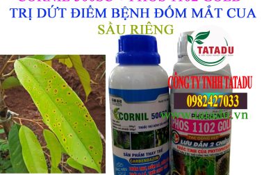 PHÒNG TRỊ BỆNH ĐỐM MẮT CUA SẦU RIÊNG NHANH NHẤT