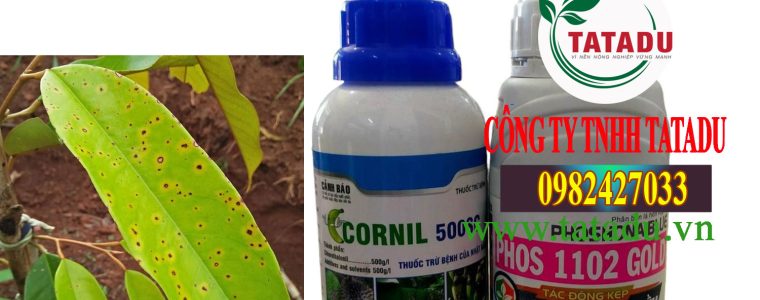 CORNIL 500SC PHOS 110 GOLD
