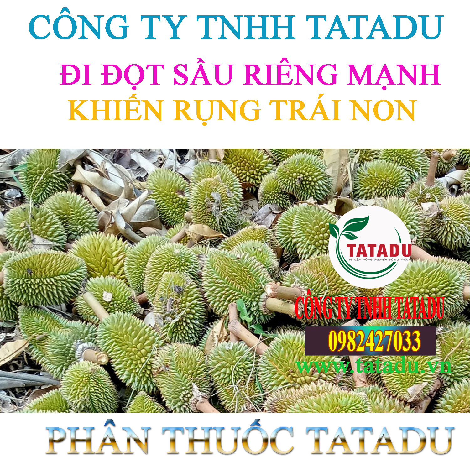 DI DOT RUNG TRAI NON