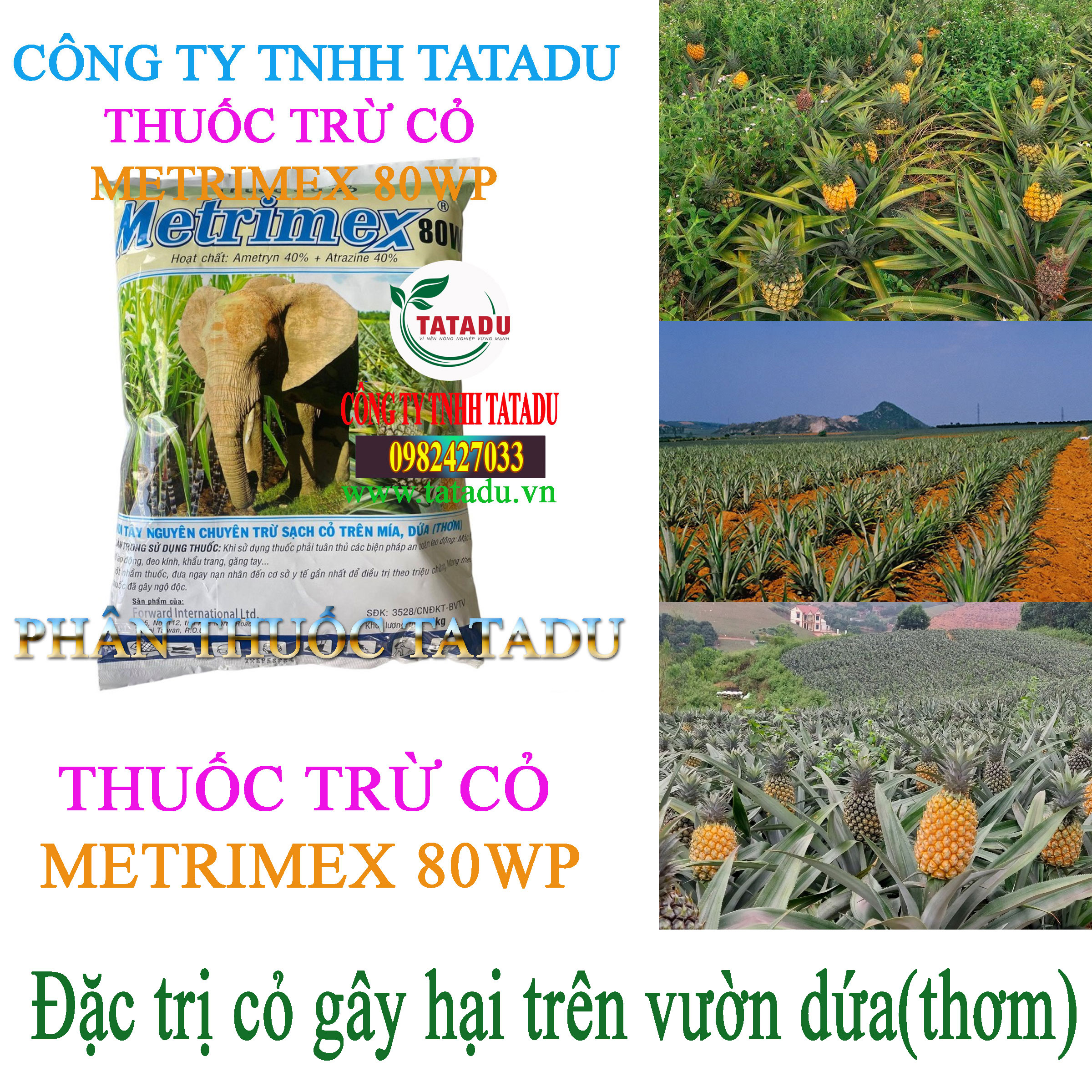 METRIMEX 80WP co vuon dua METRIMEX 80WP co vuon dua