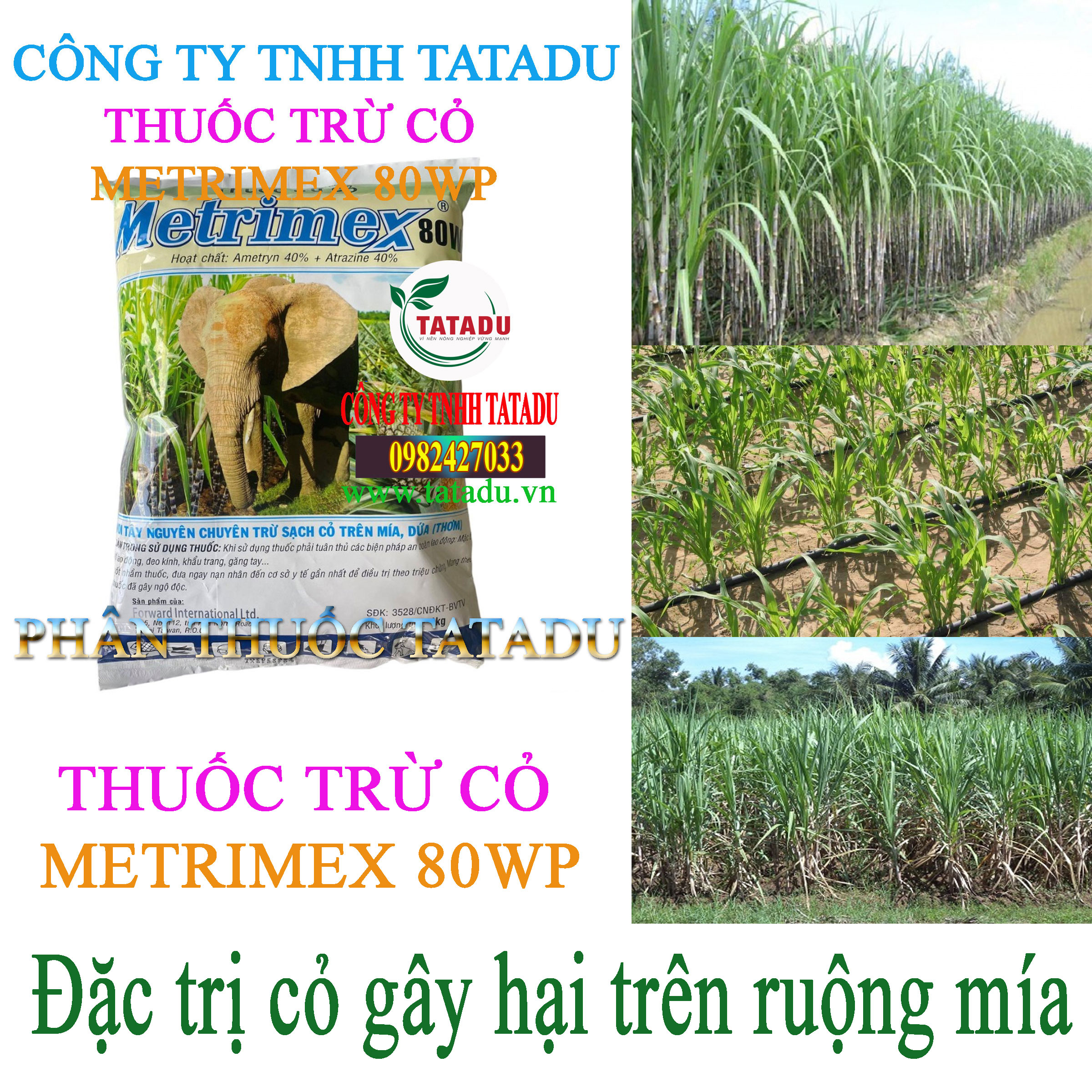 METRIMEX 80WP tru co METRIMEX 80WP tru co