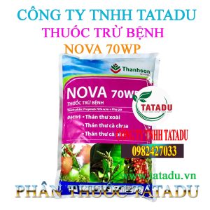 NOVA 70WP