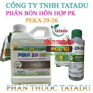 PEKA 29 26