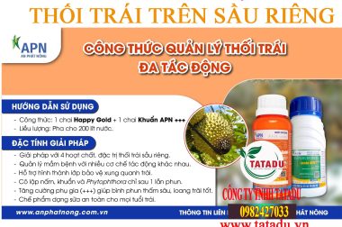 BIỆN PHÁP PHÒNG TRỪ BỆNH THỐI TRÁI SẦU RIÊNG