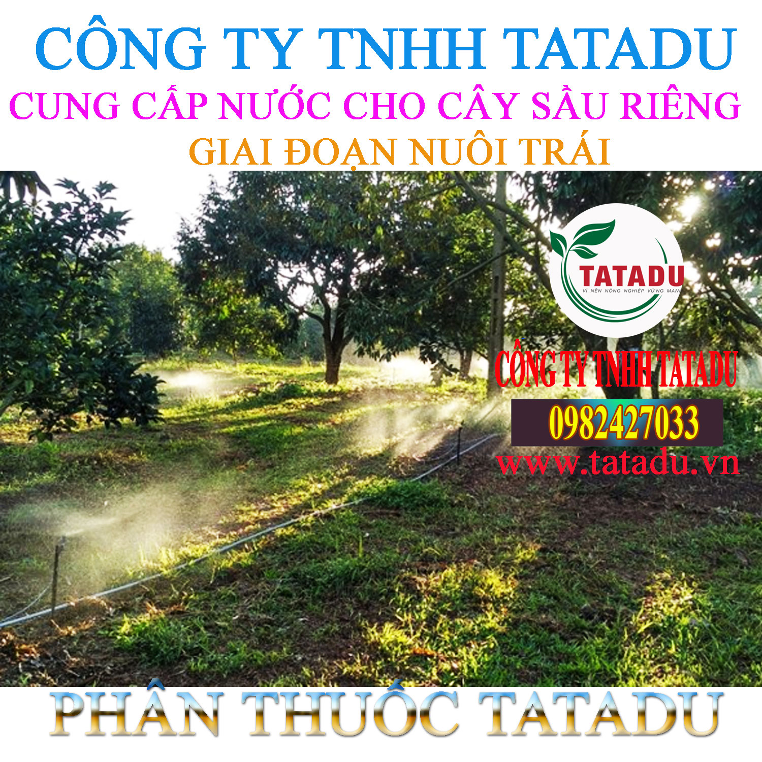 CUNG CAP NUOC CHO CAY SAU RIENG