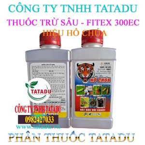 FITEX 300EC