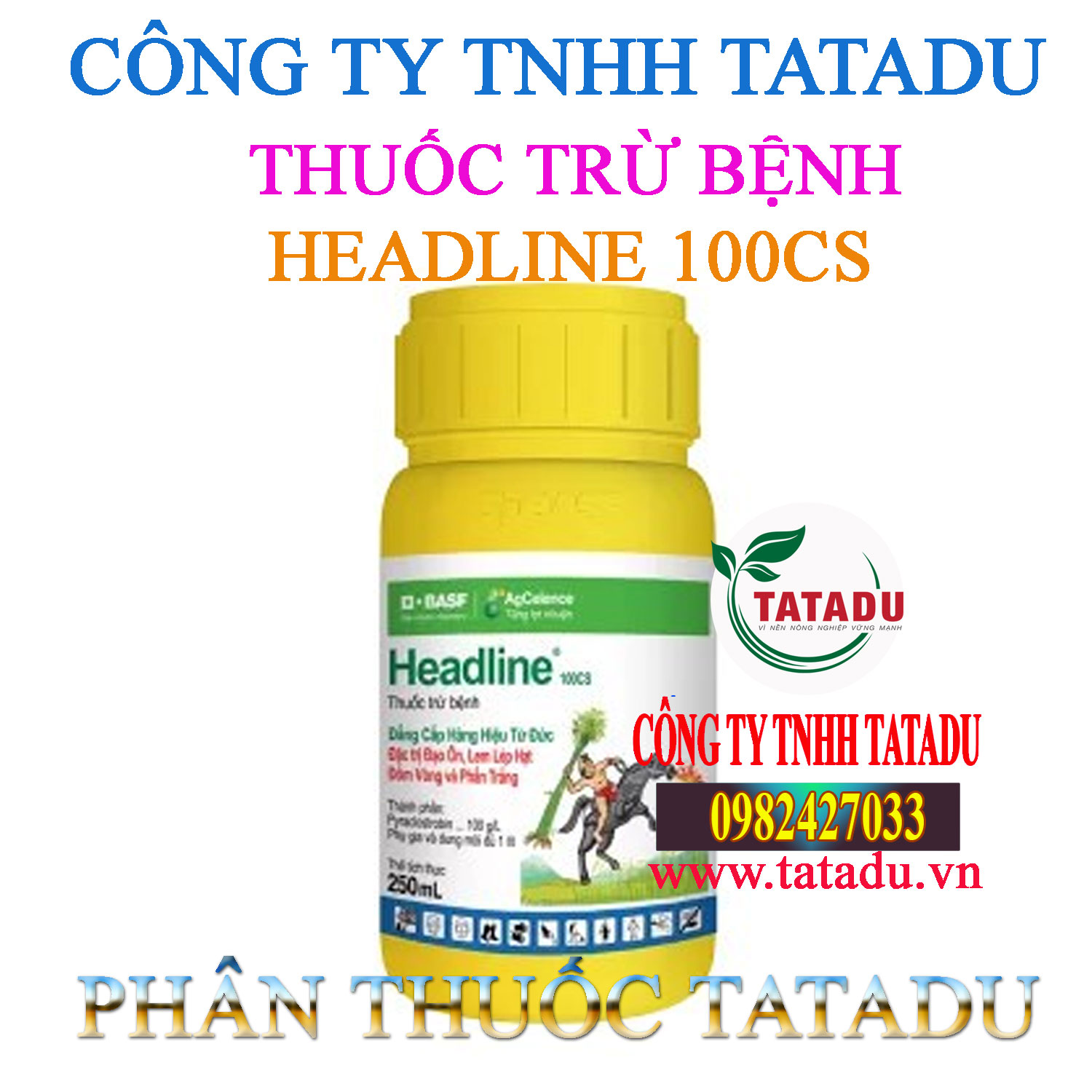 HEADLINE 100CS