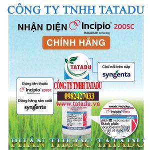 INCIPIO 200SC CHAI 50ML