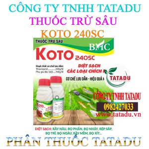 KOTO 240SC