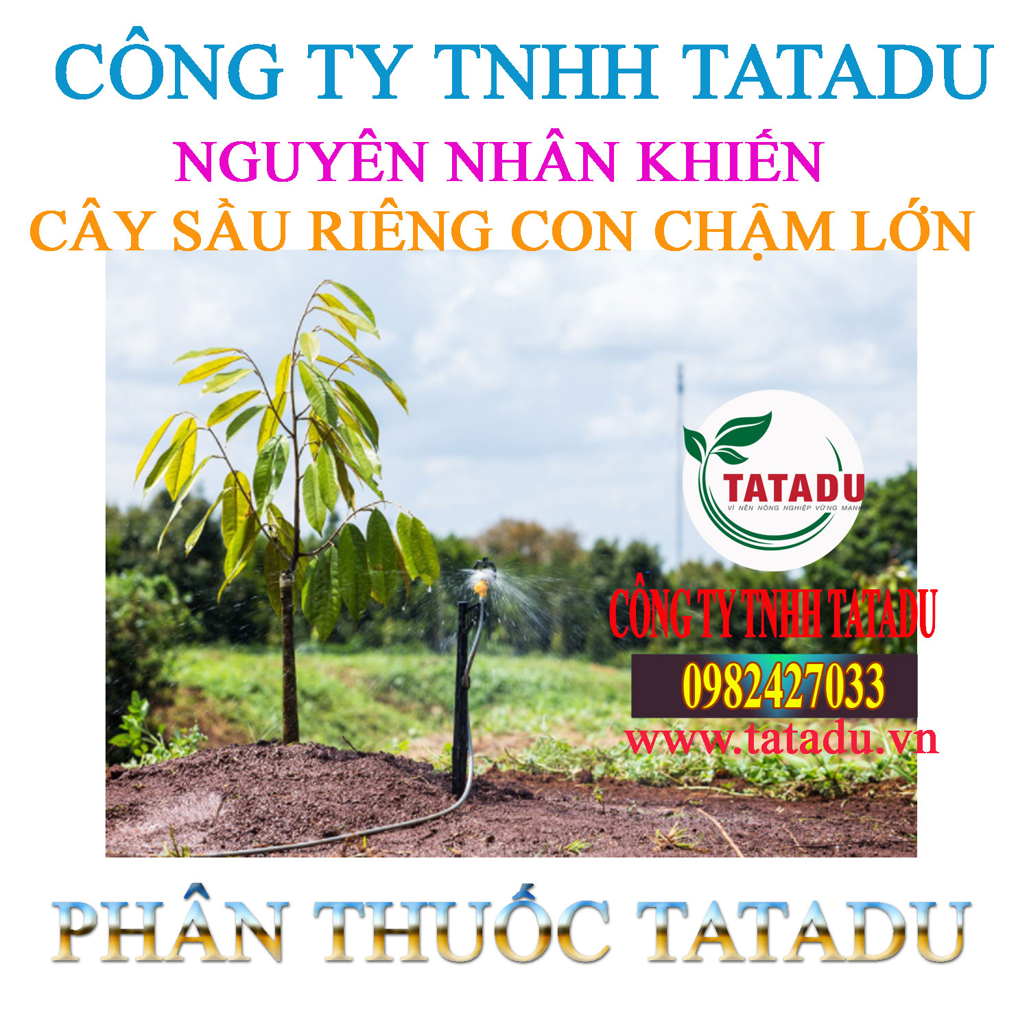NGUYEN NHAN SAU RIENG CON CHAM LON