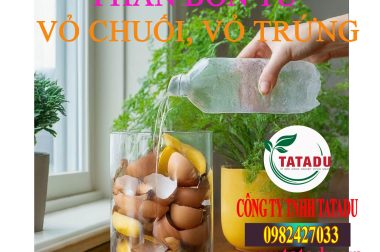 MẸO HAY NÔNG NGHIỆP PHÂN BÓN VỎ CHUỐI, VỎ TRỨNG