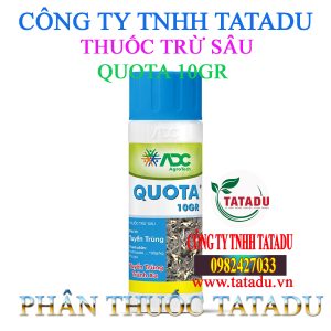 QUOTA 10GR