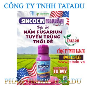 SINCOCIN 0.56SL KHUAN TIM LANH