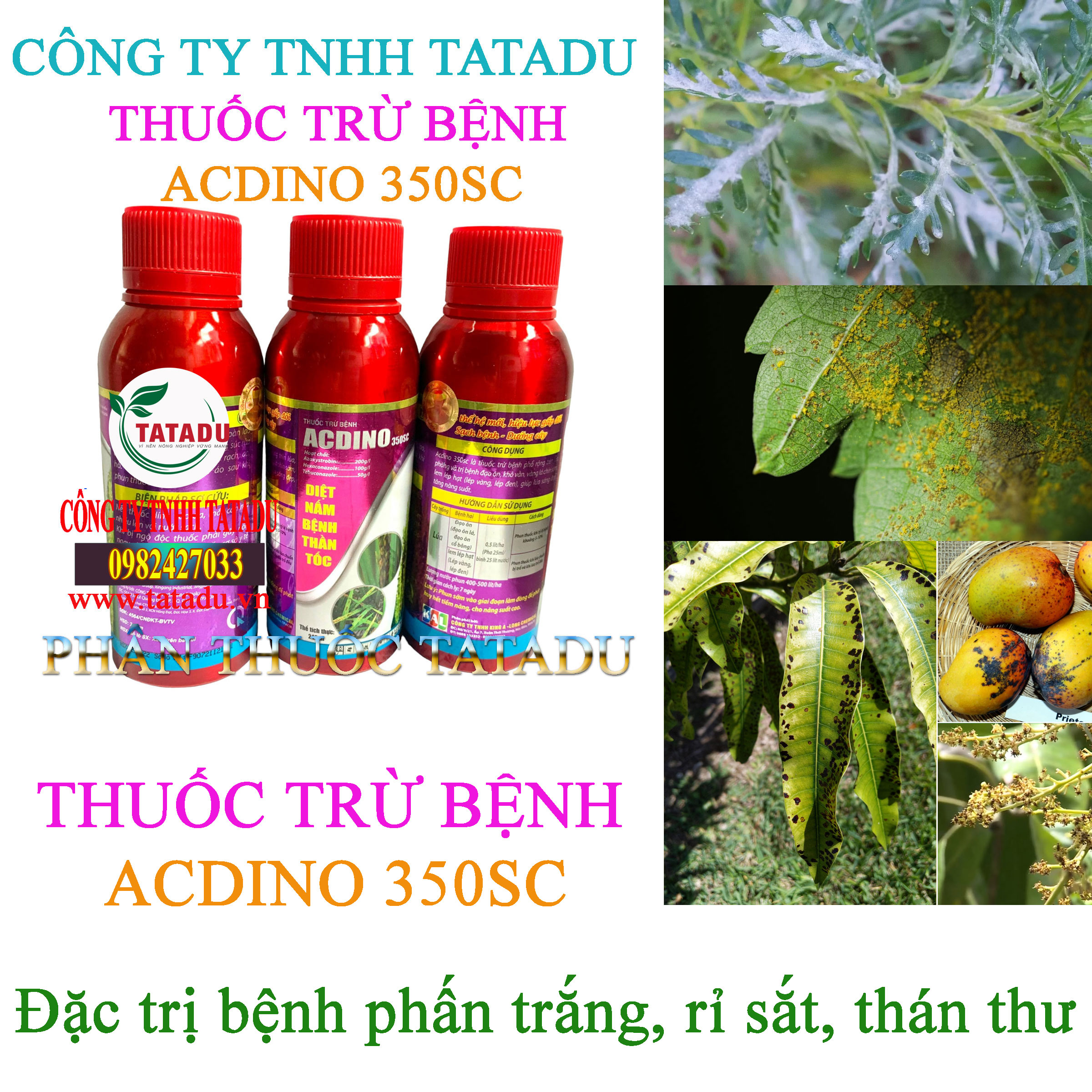 ACDINO 350SC tru benh phan trang ACDINO 350SC tru benh phan trang