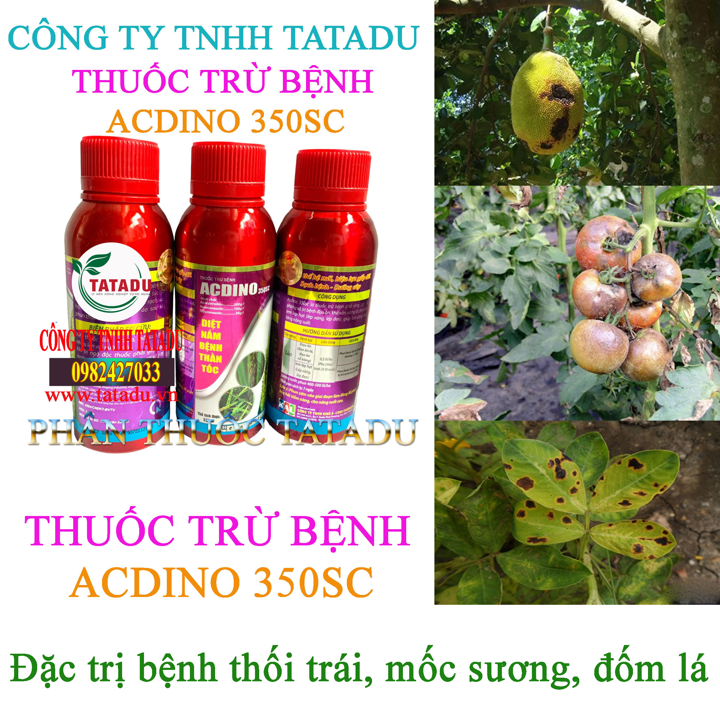 ACDINO 350SC tru benh thoi trai ACDINO 350SC tru benh thoi trai