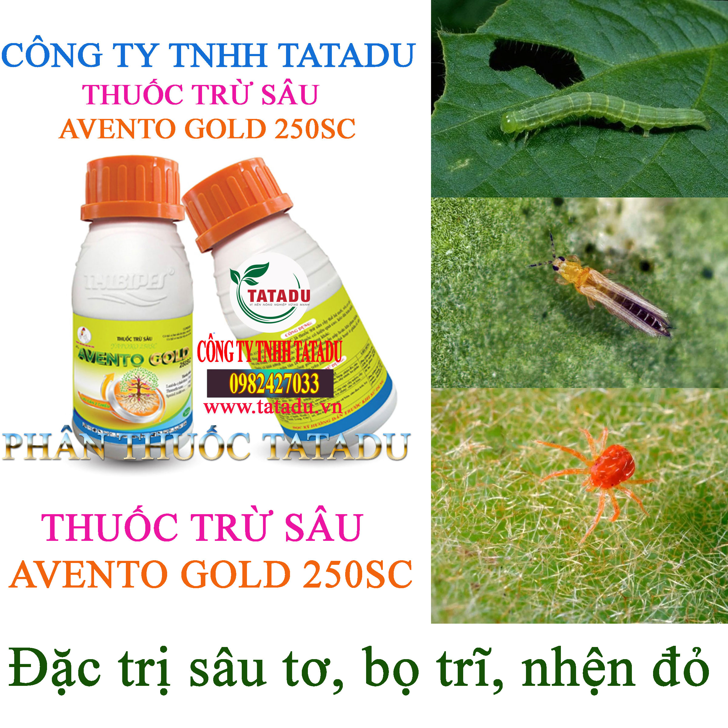 AVENTO GOLD 250SC tru sau to AVENTO GOLD 250SC tru sau to
