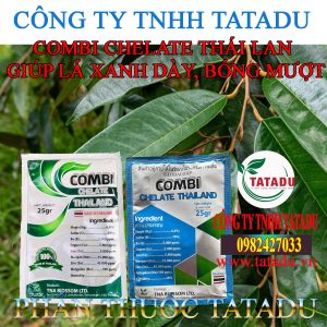 COMBI THAI LAN GIUP LA XANH DAY