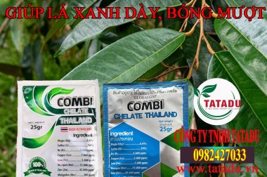 COMBI CHELATE THÁI LAN GIÚP LÁ SẦU RIÊNG XANH MƯỚT, BÓNG MƯỢT