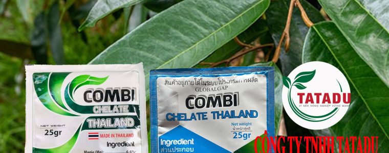 COMBI THAI LAN GIUP LA XANH DAY