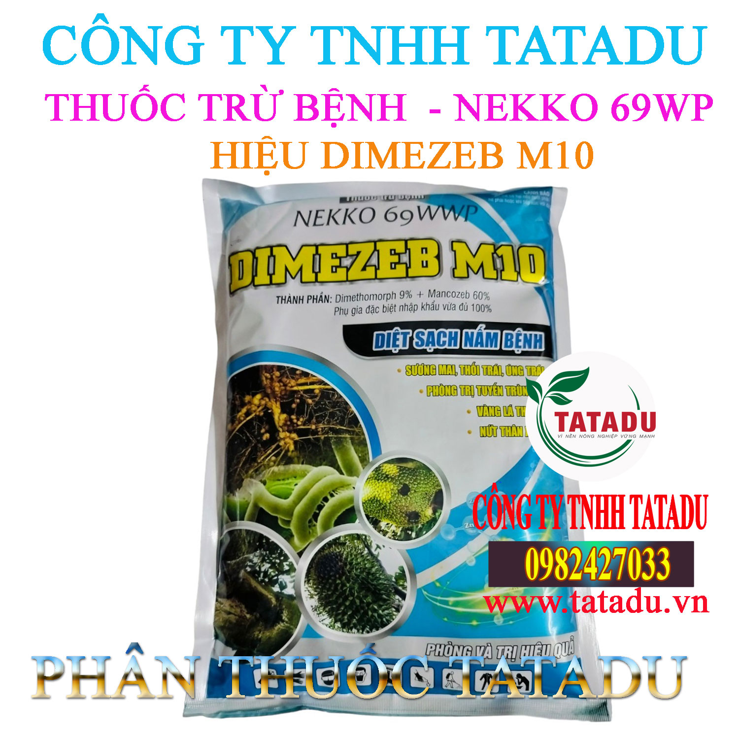 DIMEZEB M10