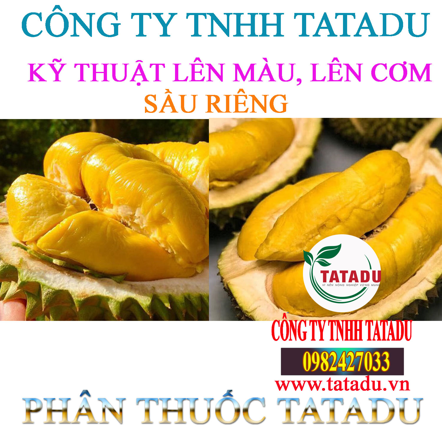 KY THUAT GIUP LEN MAU COM SAU RIENG