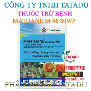 MATHANE M 46 80WP