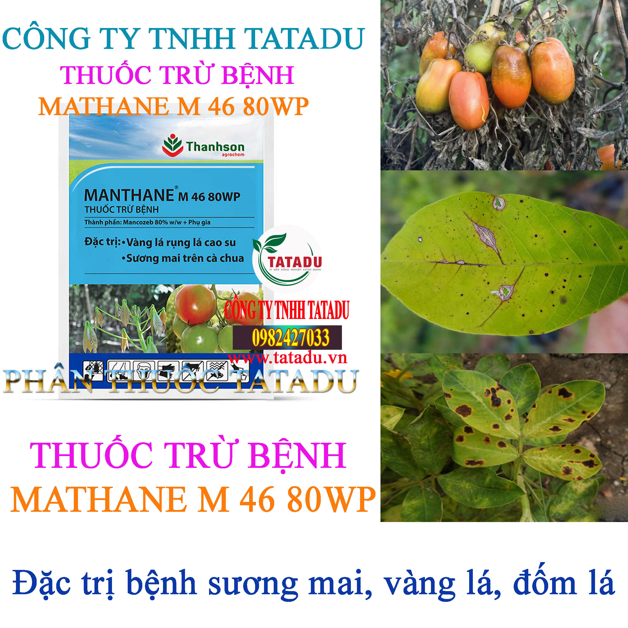 MATHANE M 46 80WP tru benh suong mai MATHANE M 46 80WP tru benh suong mai