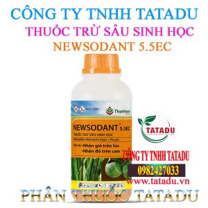 NEWSODANT 5.5EC