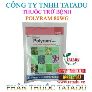 POLYRAM 80WG