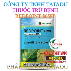 REDPOINT 86WP