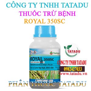 ROYAL 350SC