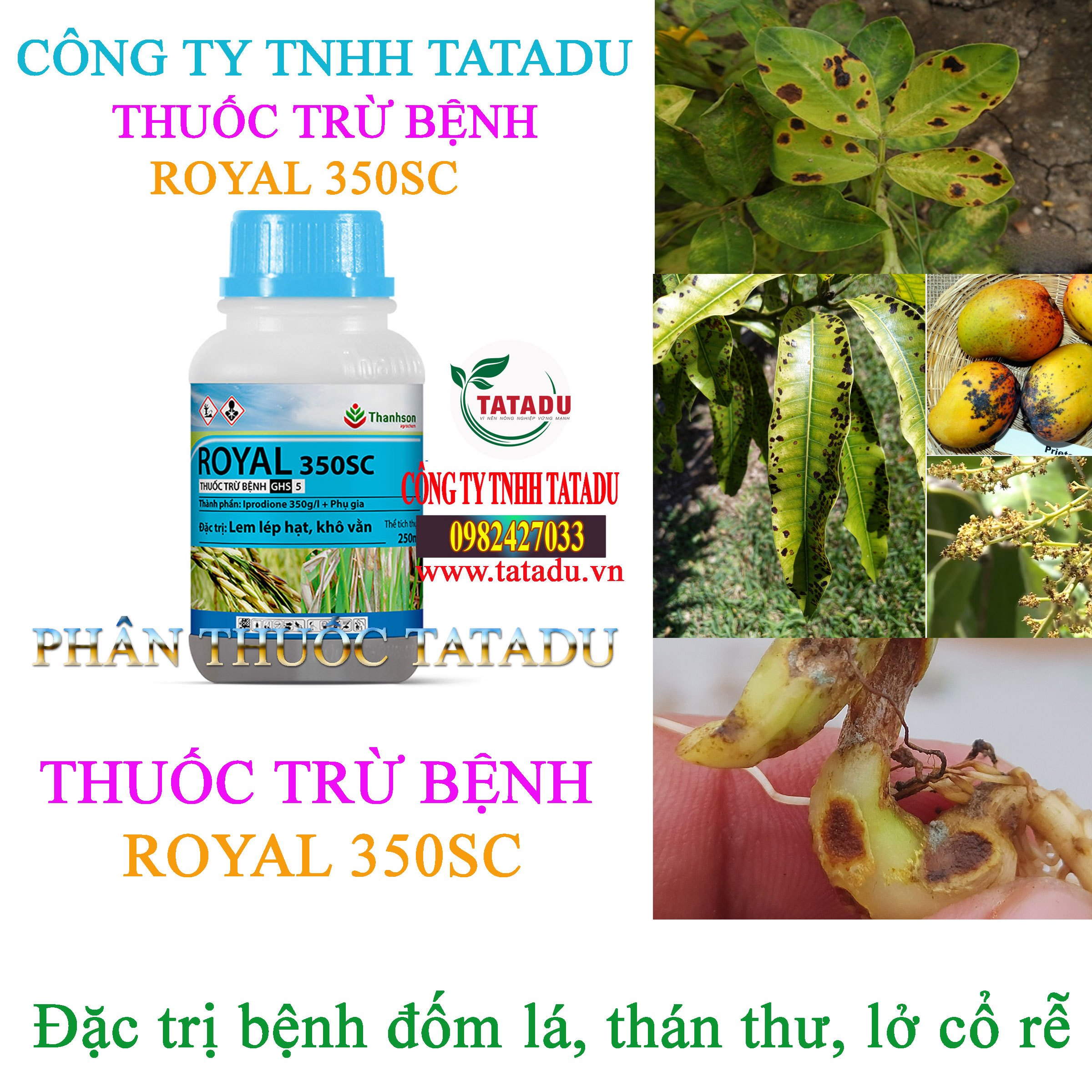 ROYAL 350SC tru benh dom la ROYAL 350SC tru benh dom la