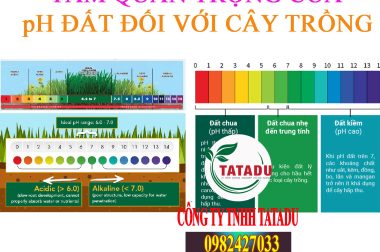 TẦM QUAN TRỌNG CỦA pH ĐẤT ĐỐI VỚI CÂY TRỒNG