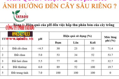 TẦM QUAN TRỌNG CỦA pH ĐẤT ẢNH HƯỞNG ĐẾN CÂY SẦU RIÊNG ?