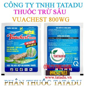 VUACHEST 800WG GOI 20GR