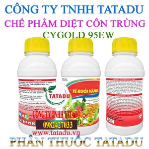 CYGOLD 95EW KAL