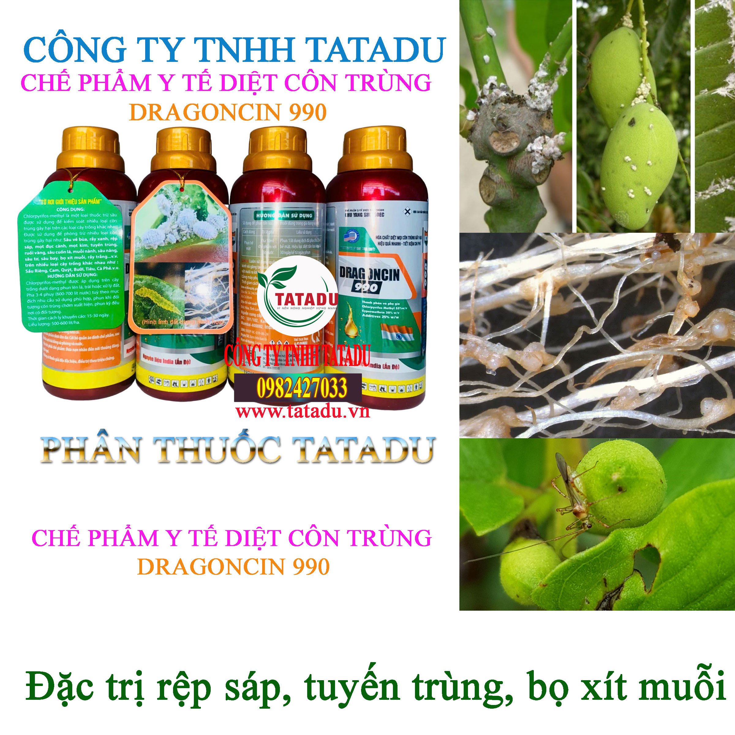 DRAGONCIN 990 tru rep sap DRAGONCIN 990 tru rep sap