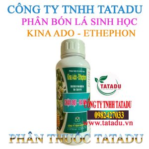 KINA ADO ETHEPHON