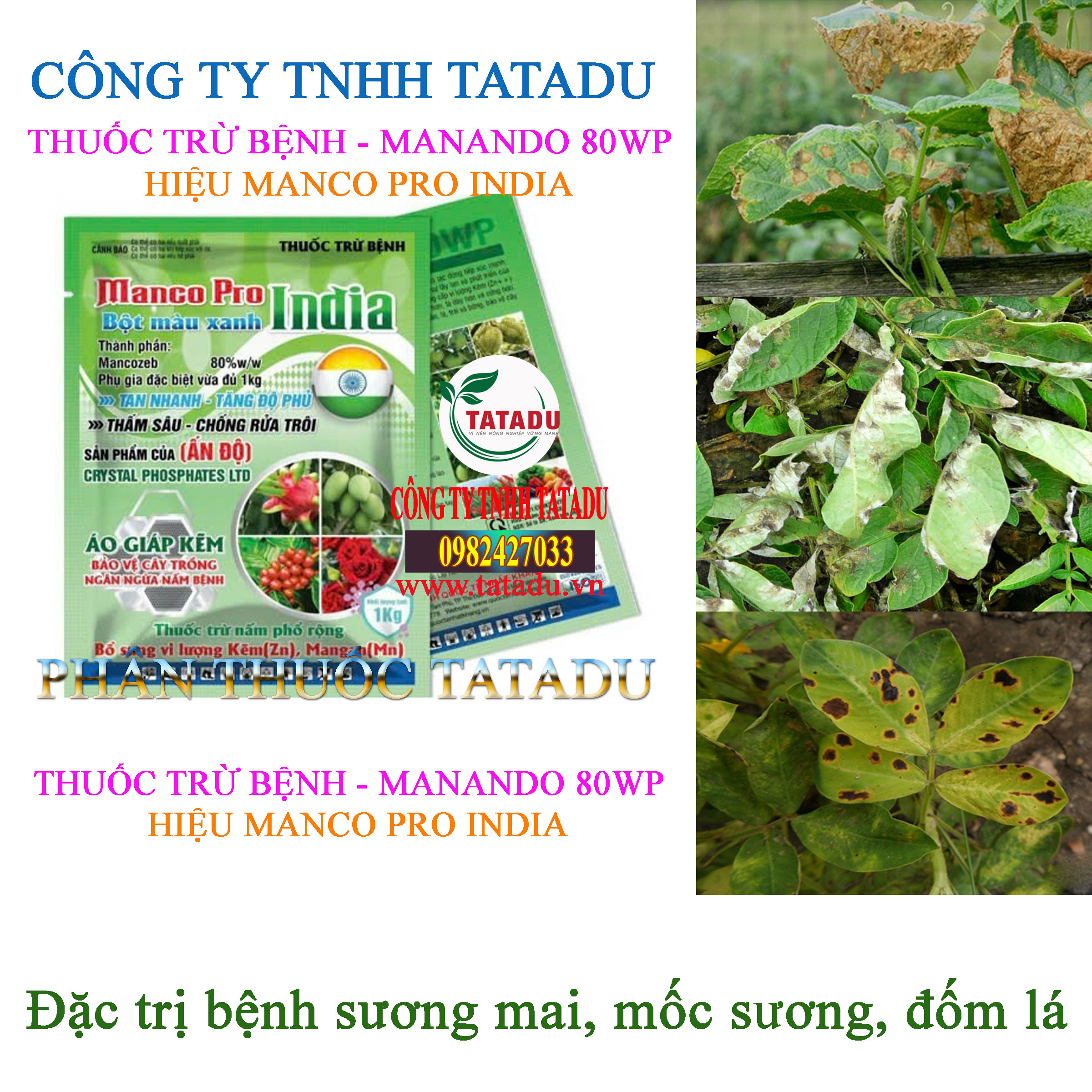 MANCO PRO INDIA tru benh suong mai MANCO PRO INDIA tru benh suong mai