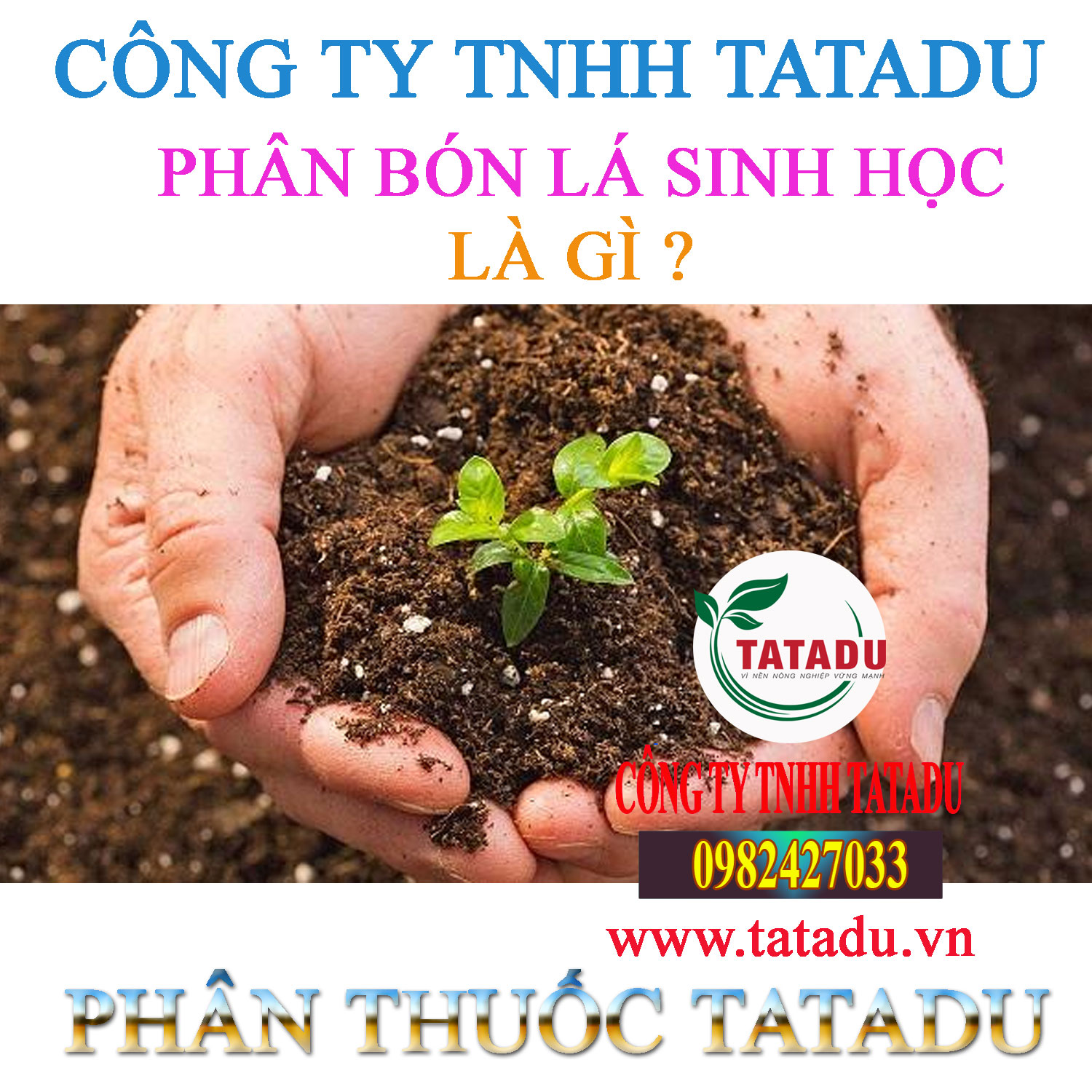 PHAN BON LA SINH HOC LA GI