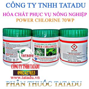 POWER CHLORINE 70WP