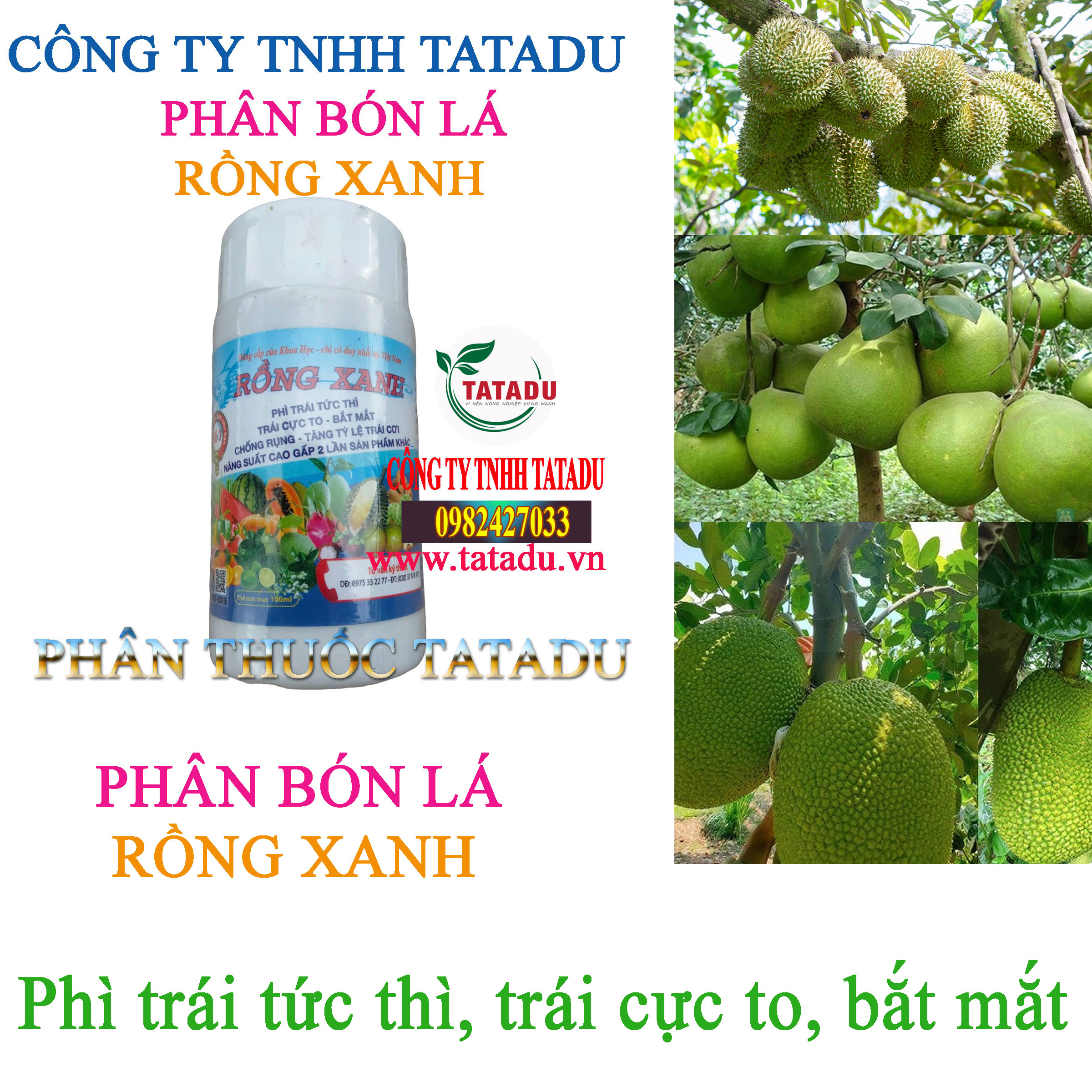 RONG XANH phi trai tuc thi RONG XANH phi trai tuc thi