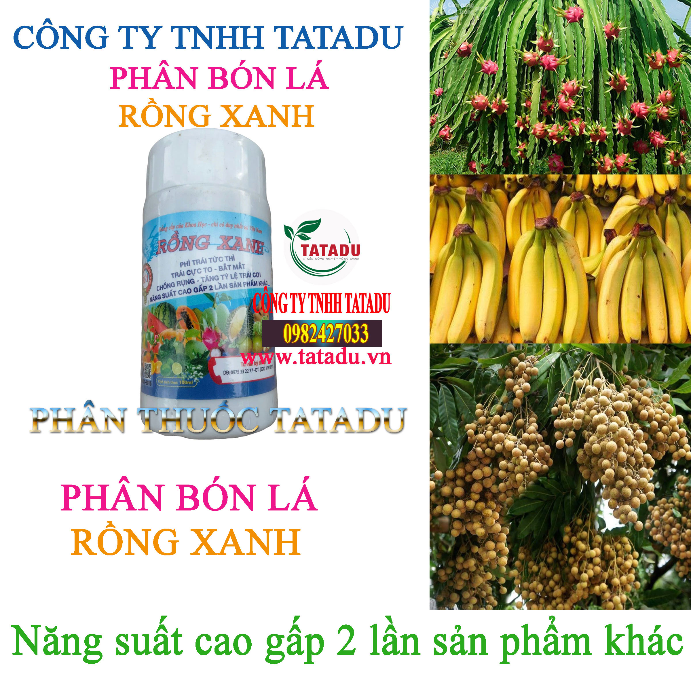RONG XANH tang nang suat RONG XANH tang nang suat