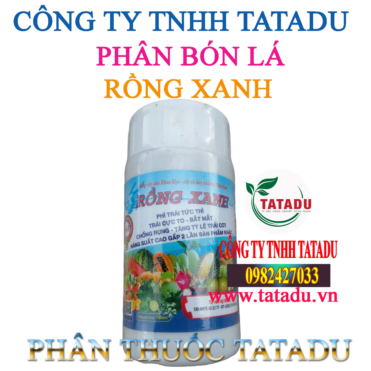 RONG XANH RONG XANH